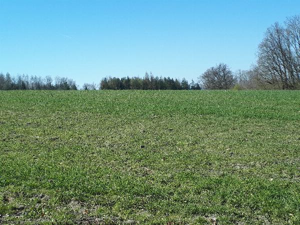 Schner Acker im Rottal